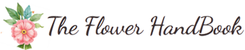 The Flower Hand Book